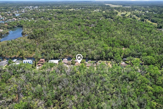 841 N Palm Springs Ter, Crystal River, FL 34429 - drone / aerial view featuring a water view and a view of trees