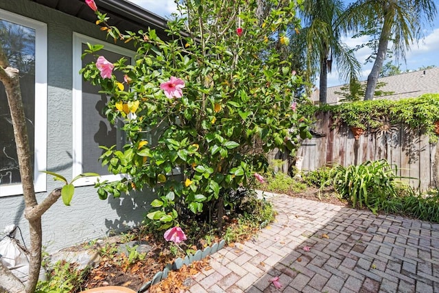 841 N Palm Springs Ter, Crystal River, FL 34429 - view of patio with fence