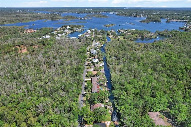 841 N Palm Springs Ter, Crystal River, FL 34429 - aerial view with a view of trees and a water view
