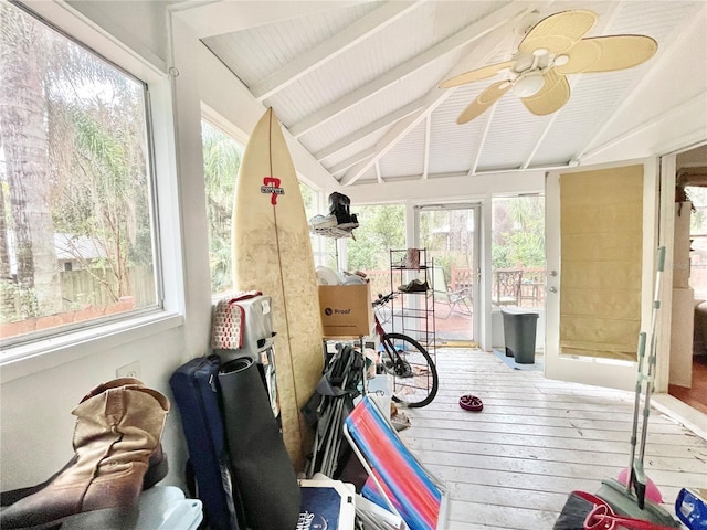 1035 NE 3rd Ave, Gainesville, FL 32601 - sunroom with plenty of natural light and wood-type flooring
