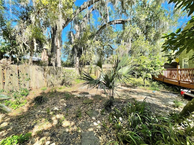 1035 NE 3rd Ave, Gainesville, FL 32601 - view of yard with a wooden deck