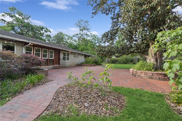 2210 NW 6th Pl, Gainesville, FL 32603 - view of yard featuring a patio