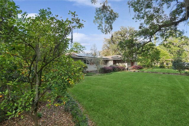 2210 NW 6th Pl, Gainesville, FL 32603 - view of grassy yard