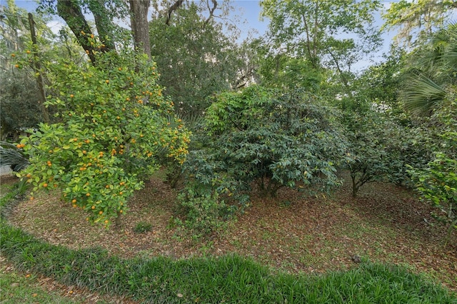 2210 NW 6th Pl, Gainesville, FL 32603 - photo 31