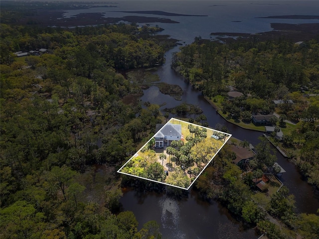 bird's eye view featuring a view of trees and a water view