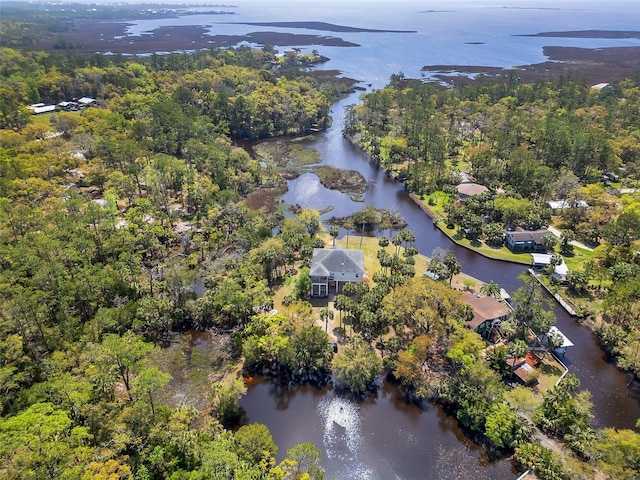 aerial view featuring a water view and a forest view