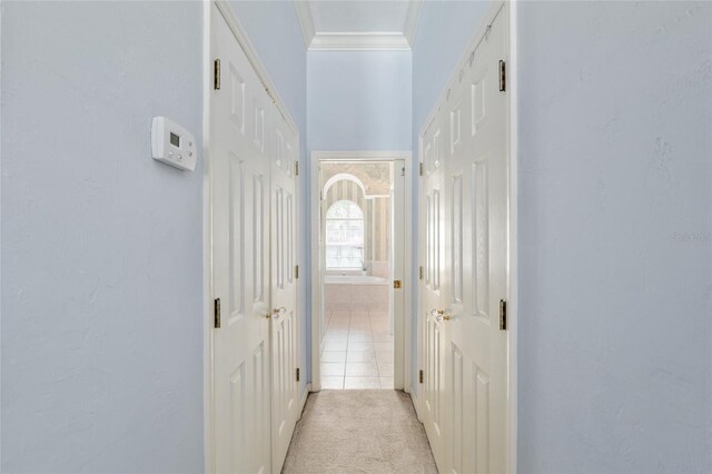 3802 SW 93rd Ter, Gainesville, FL 32608 - hallway with ornamental molding, light carpet, and baseboards