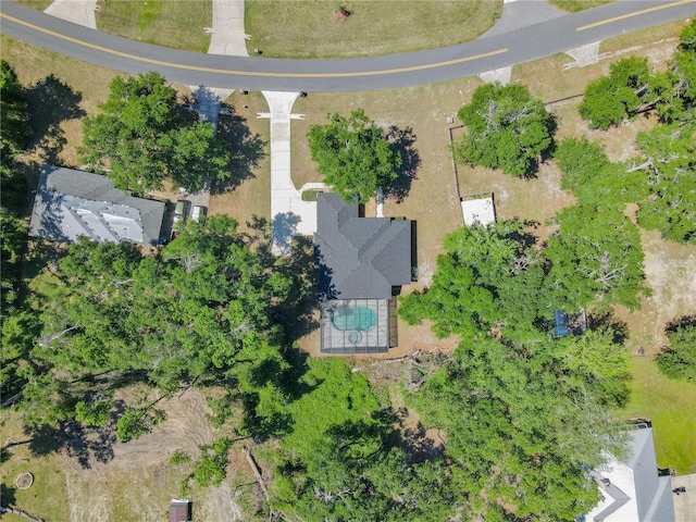 drone / aerial view