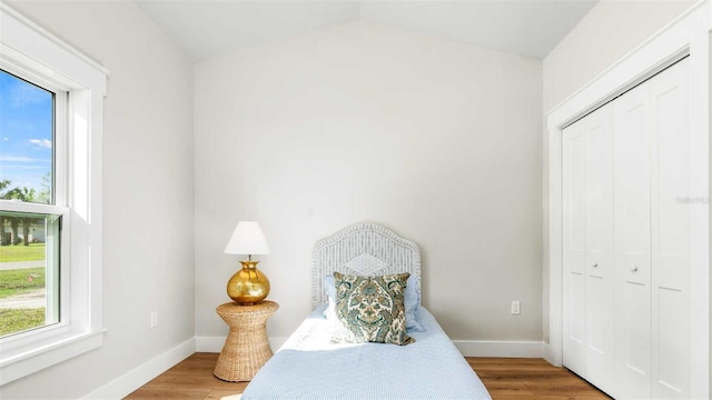 10055 Fox Hollow Dr, Hampton, FL 32044 - living area with light wood finished floors, baseboards, and lofted ceiling