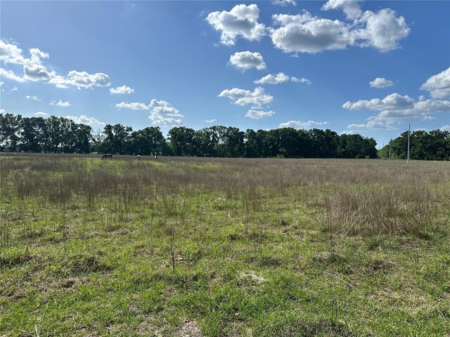 870 SW Fry Ave Unit 2, Fort White, FL 32038
