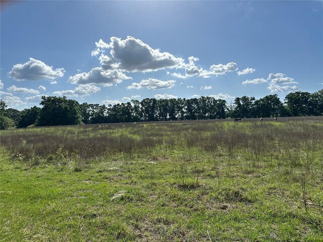 870 SW Fry Ave Unit 2, Fort White, FL 32038