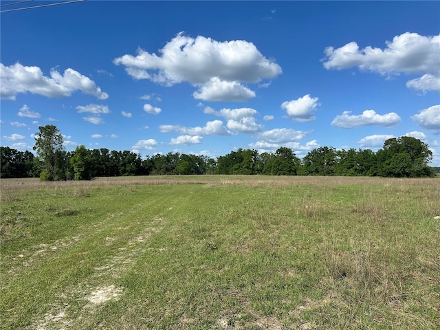 870 SW Fry Ave Unit 2, Fort White, FL 32038