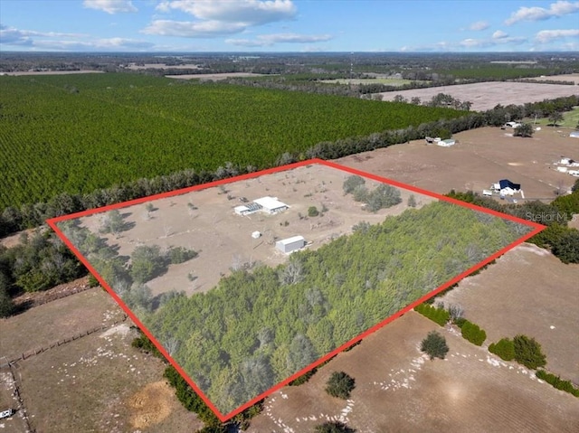 5300 NW 52nd Ct, Chiefland, FL 32626 - photo 50