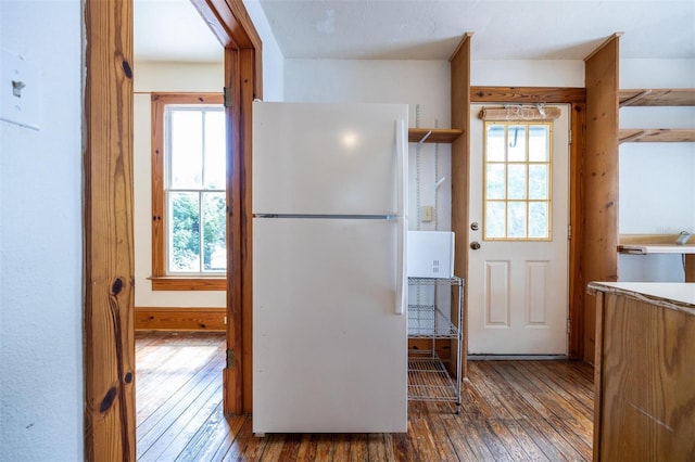 562 NE 2nd Ave, Gainesville, FL 32601 - kitchen featuring freestanding refrigerator, hardwood / wood-style flooring, and plenty of natural light