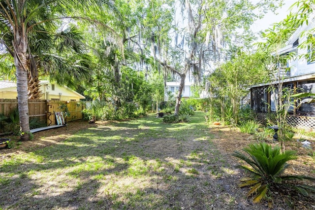 562 NE 2nd Ave, Gainesville, FL 32601 - view of yard
