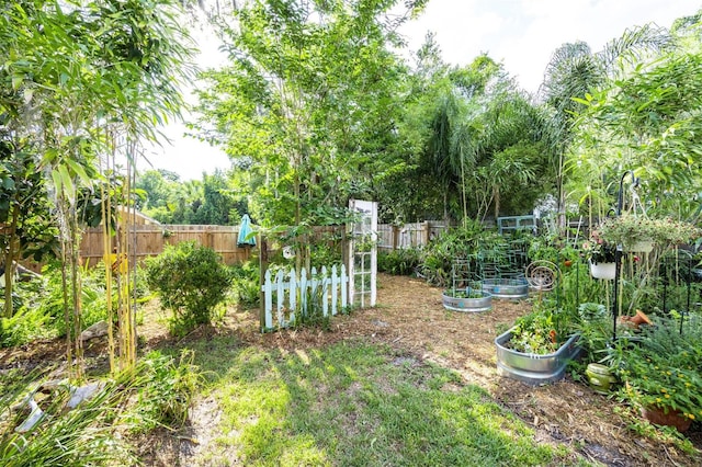 562 NE 2nd Ave, Gainesville, FL 32601 - view of yard featuring a vegetable garden