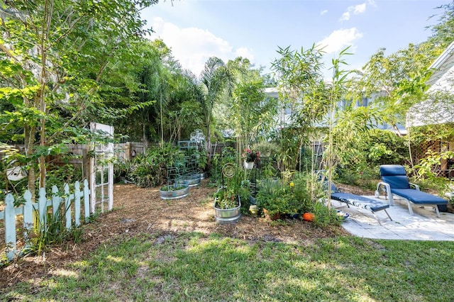 562 NE 2nd Ave, Gainesville, FL 32601 - fenced backyard with a vegetable garden and a patio