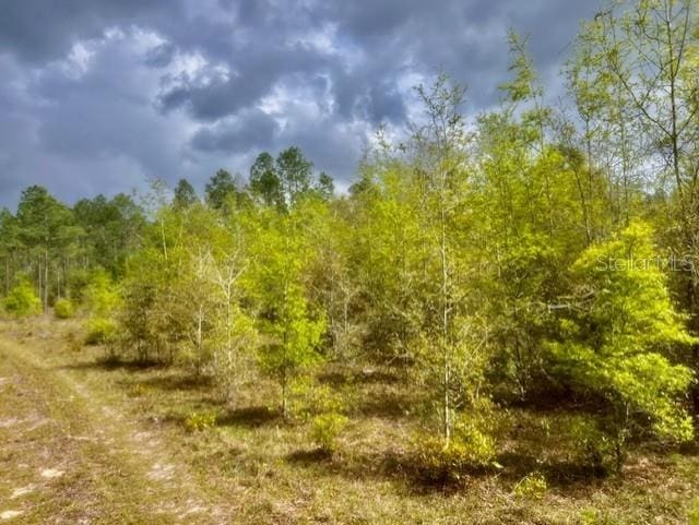 NE 998th Ave, Branford, FL 32008 - photo 1