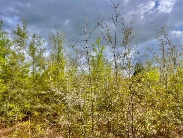 NE 998th Ave, Branford, FL 32008 - photo 2