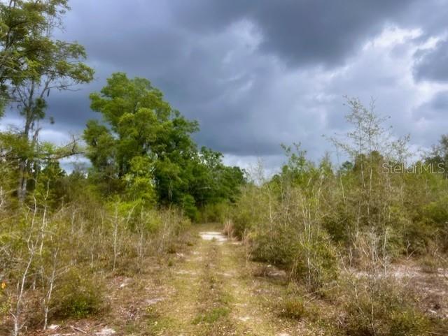 NE 998th Ave, Branford, FL 32008 - photo 3