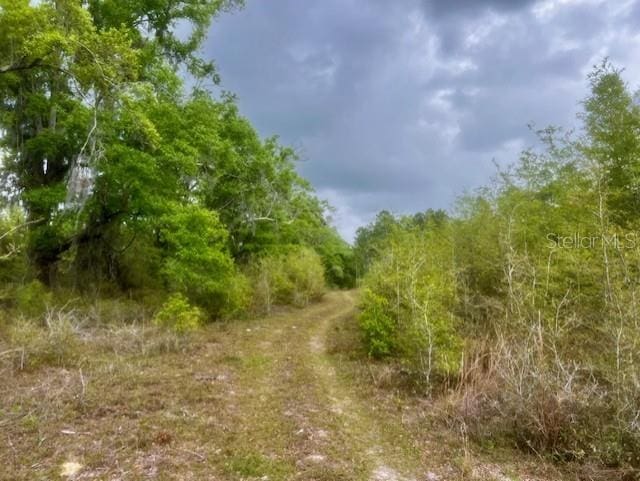 NE 998th Ave, Branford, FL 32008 - photo 4