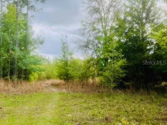 NE 998th Ave, Branford, FL 32008 - photo 5