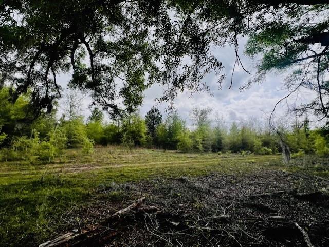 NE 998th Ave, Branford, FL 32008 - photo 9