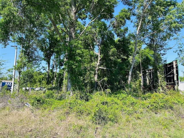 0 N Young Blvd, Chiefland, FL 32626 - photo 1