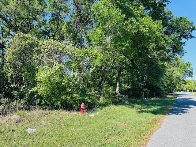 0 N Young Blvd, Chiefland, FL 32626 - photo 4