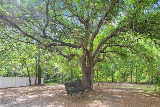 9835 SW 80th Pl, Hampton, FL 32044 - view of yard with a forest view and fence
