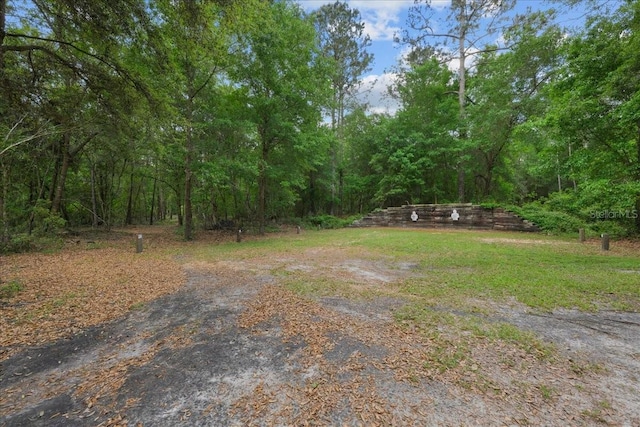 9835 SW 80th Pl, Hampton, FL 32044 - view of yard featuring a forest view