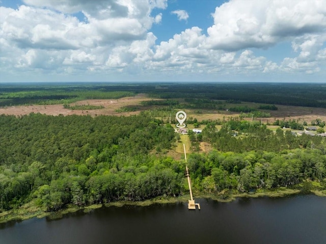 9835 SW 80th Pl, Hampton, FL 32044 - birds eye view of property with a water view and a view of trees