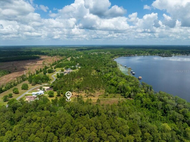 9835 SW 80th Pl, Hampton, FL 32044 - birds eye view of property featuring a wooded view and a water view