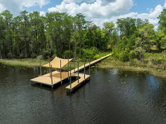 9835 SW 80th Pl, Hampton, FL 32044 - view of dock featuring a water view