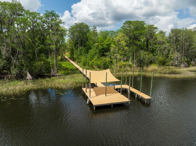 9835 SW 80th Pl, Hampton, FL 32044 - dock area with a water view