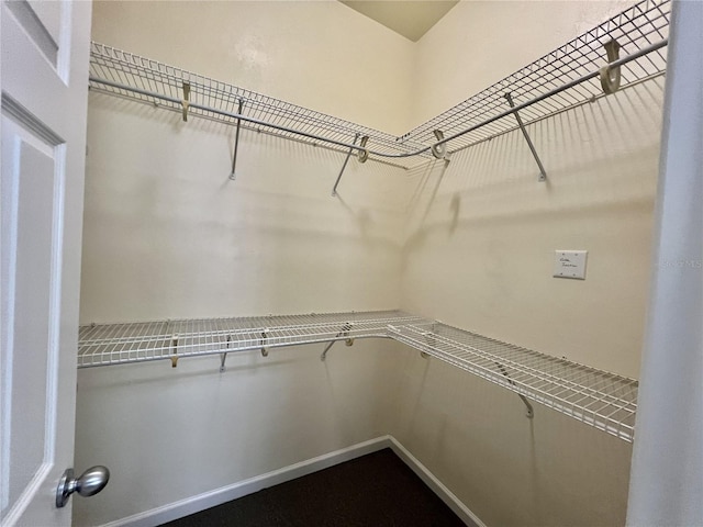 11795 Creek Dr, Alachua, FL 32615 - view of spacious closet
