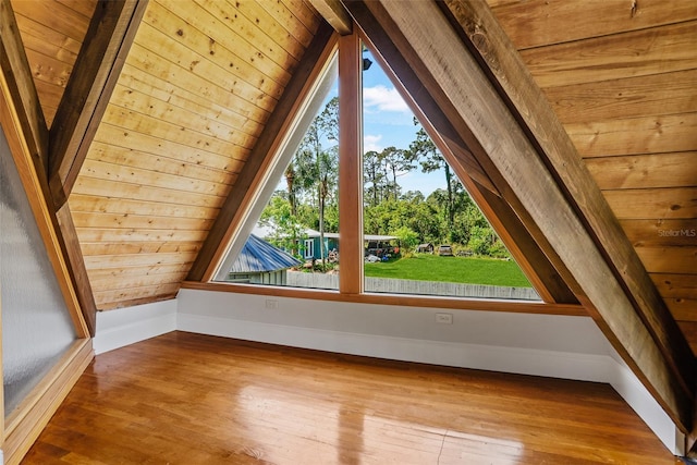 additional living space featuring wood-type flooring, a wealth of natural light, and baseboards