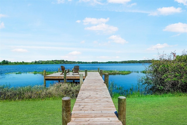 dock area featuring a water view