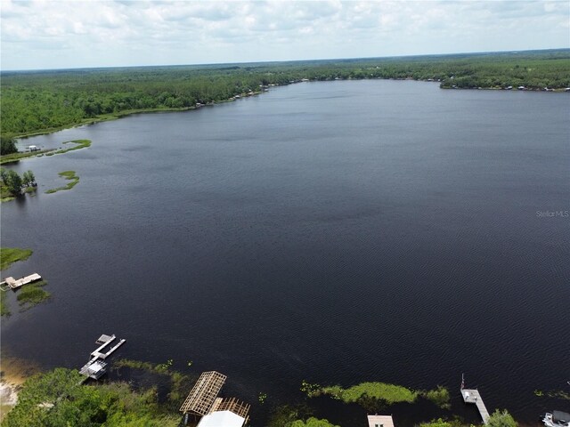 282 Riley Lake Dr, Hawthorne, FL 32640 - photo 25