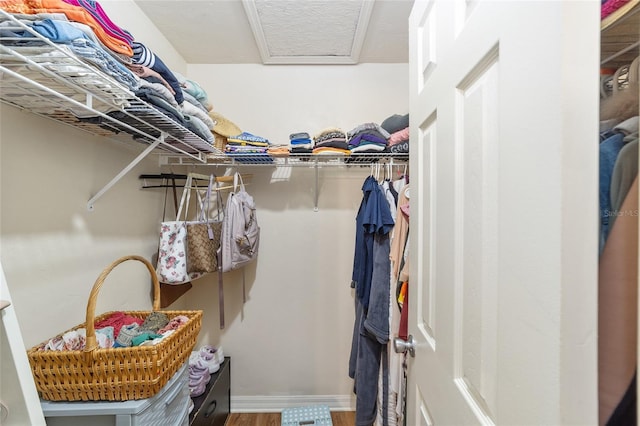 3118 NW 79th Ct, Gainesville, FL 32606 - walk in closet with wood finished floors