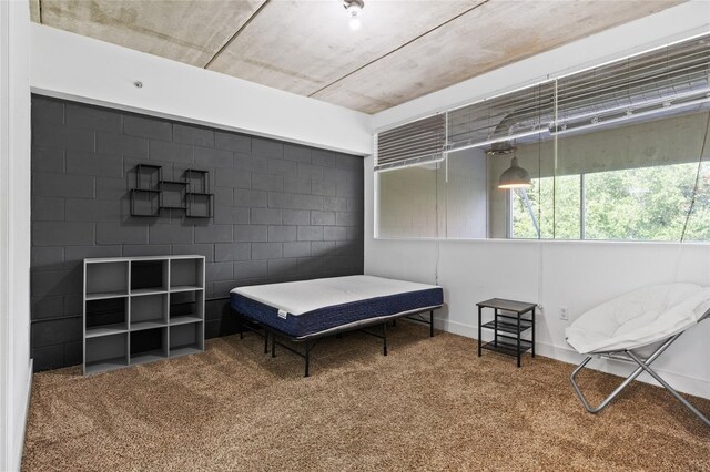 2515 SW 35th Pl Unit 203, Gainesville, FL 32608 - bedroom featuring carpet floors
