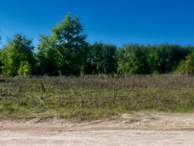 NW 98th Ln, Branford, FL 32008 - photo 2
