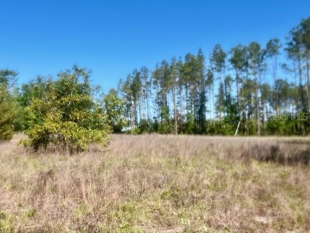 NW 98th Ln, Branford, FL 32008 - photo 5