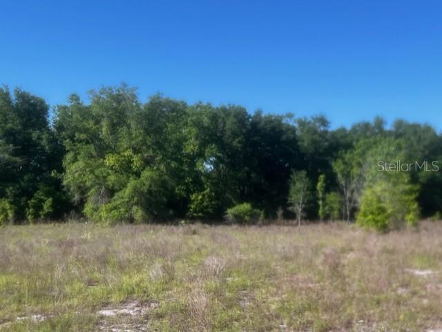 NW 98th Ln, Branford, FL 32008 - photo 6