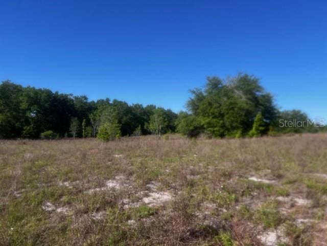 NW 98th Ln, Branford, FL 32008 - photo 7