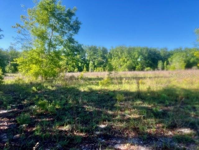 NW 98th Ln, Branford, FL 32008 - photo 10