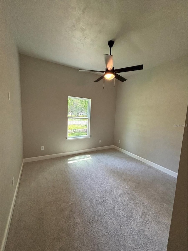 10616 NW 61st Ter, Alachua, FL 32615 - photo 6