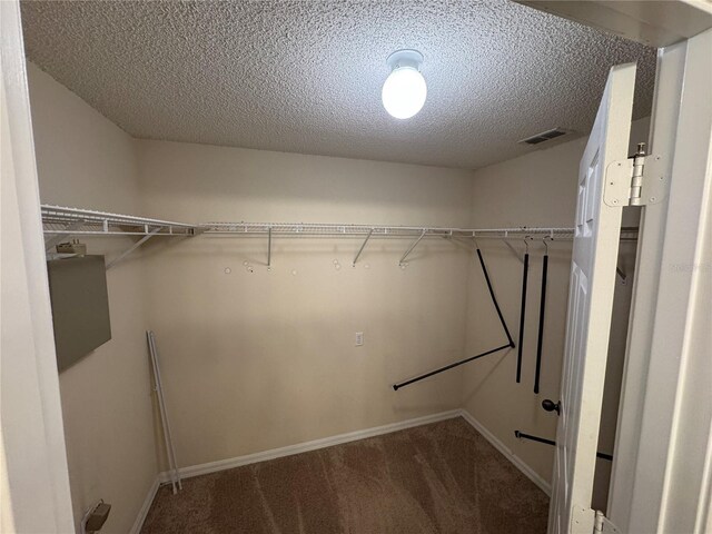 10000 SW 52nd Ave Unit 76, Gainesville, FL 32608 - walk in closet featuring visible vents and carpet floors