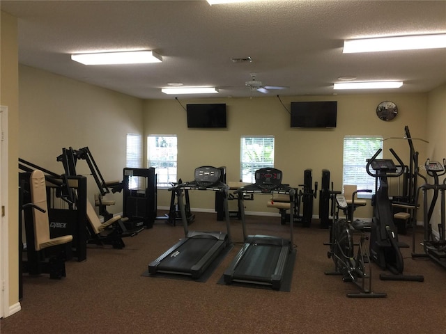 10000 SW 52nd Ave Unit 76, Gainesville, FL 32608 - exercise room with carpet flooring, visible vents, and baseboards