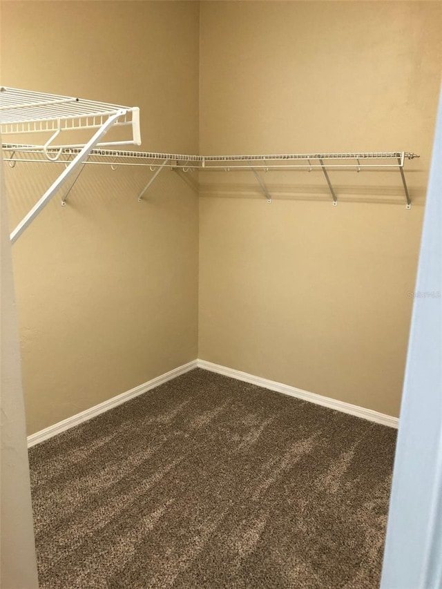 spacious closet featuring dark carpet